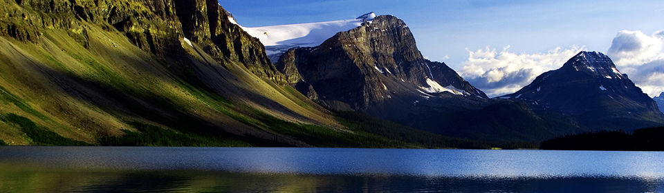 Scenic View
