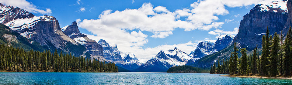 Scenic View